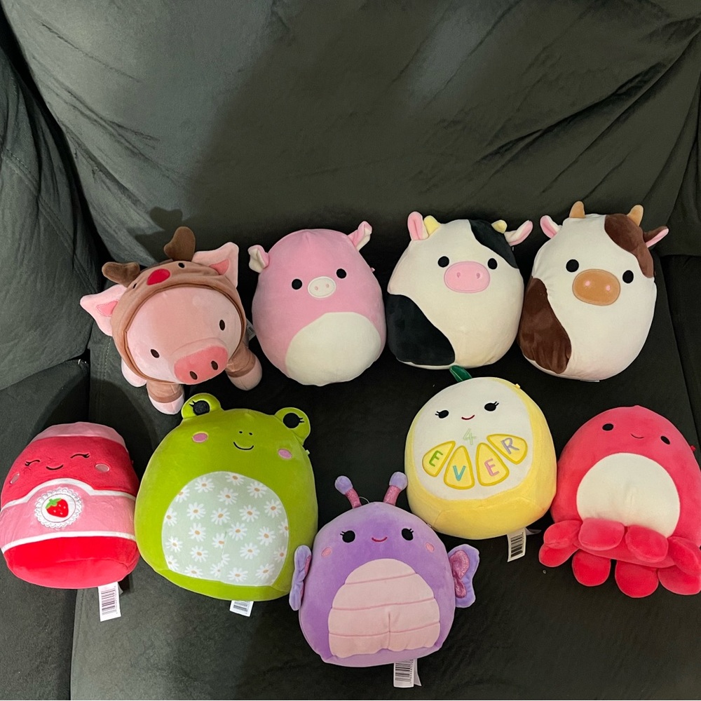 5 in Squishmallow Bundle